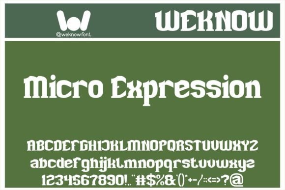 Micro Expression: The Perfect Display Font for Handmade Products